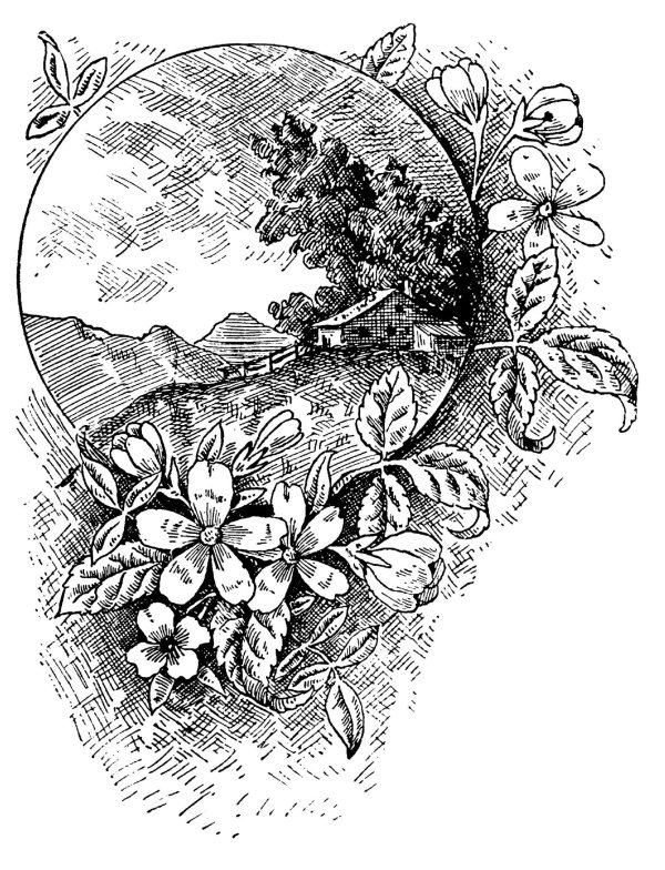 графические иллюстрации