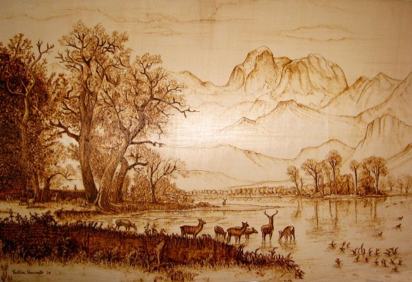 выжигание по дереву