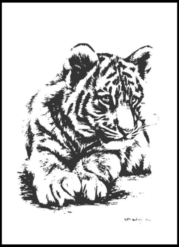 тигр зарисовки