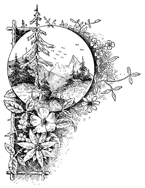 графическая иллюстрация