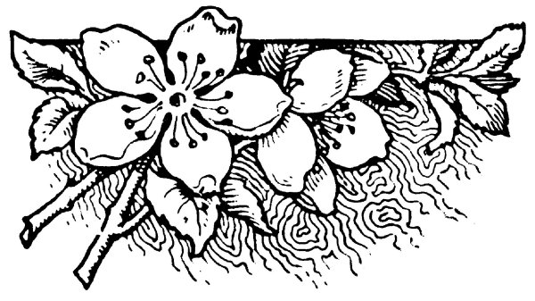 выжигание рисунки