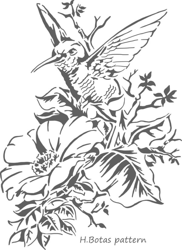 раскраска колибри