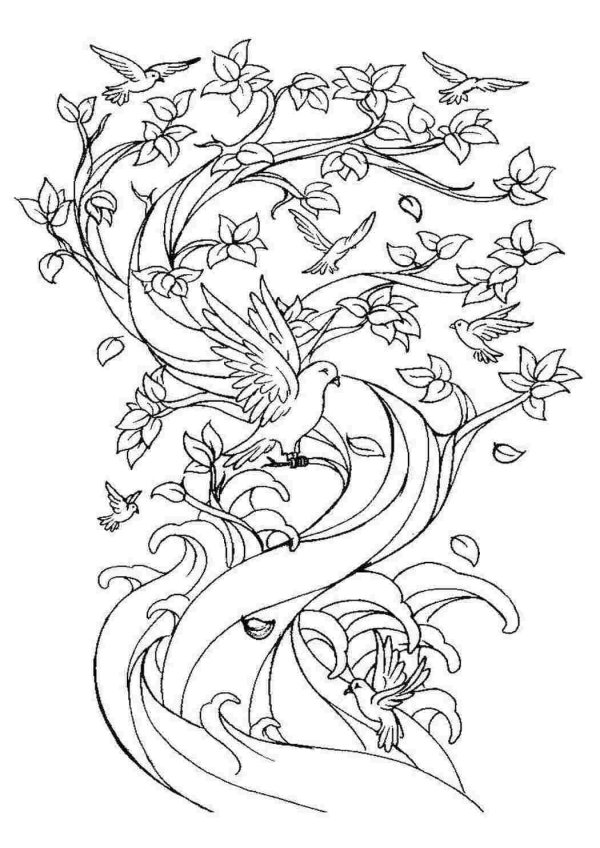 сложная раскраска