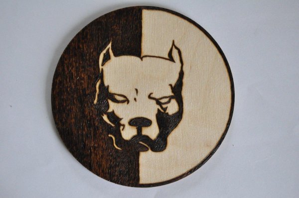 эрик давидыч питбуль