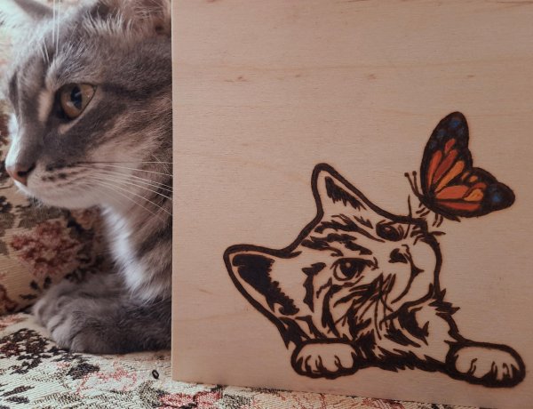 выжигание по дереву