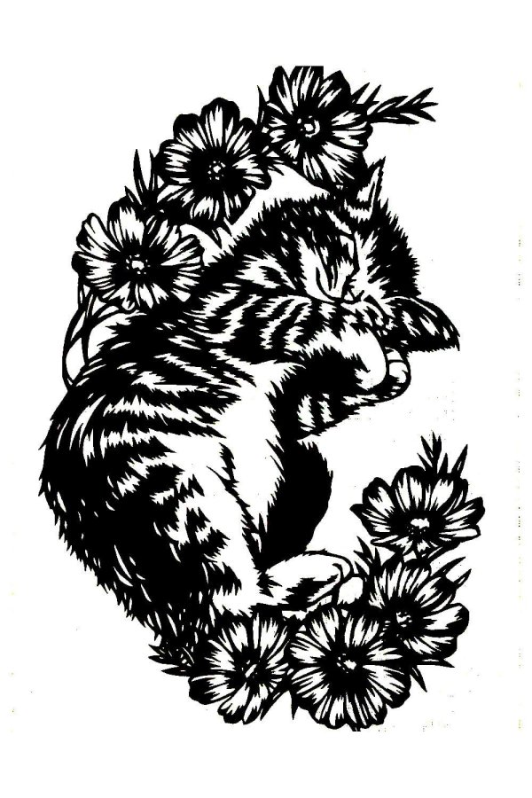 шаблоны для выжигания по дереву эскизы