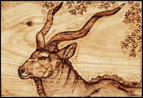 выжигание по дереву природа