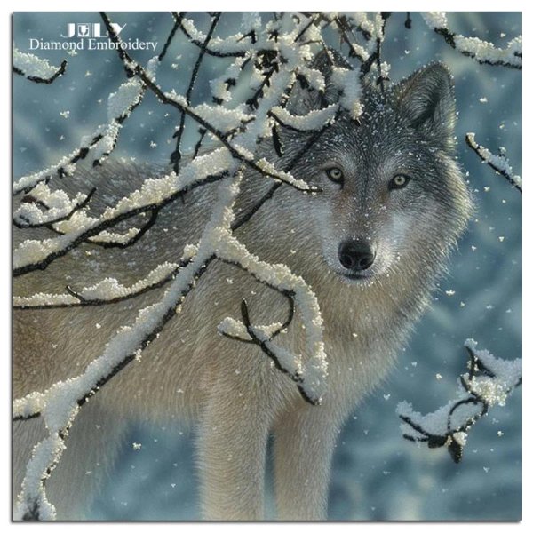 дикая природа от collin bogle