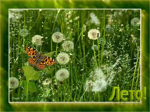 последний день июля открытки