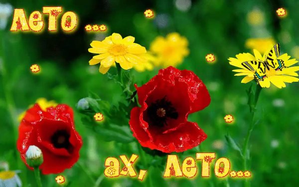 летние открытки