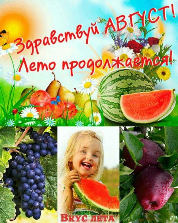 здравствуй август