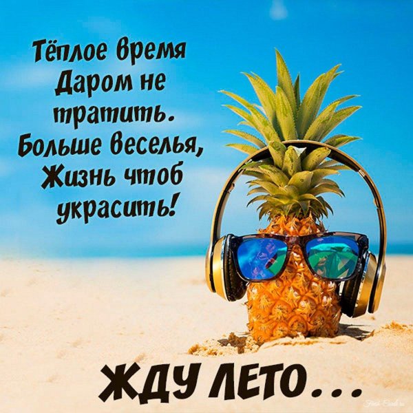 ананас в очках