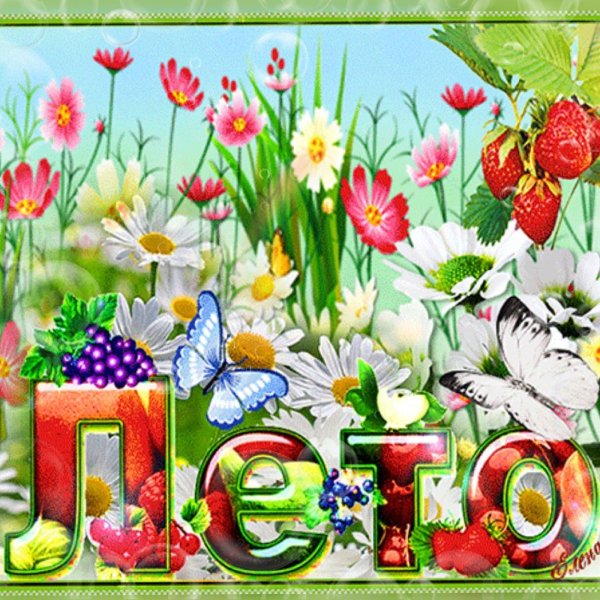 открытка с летом