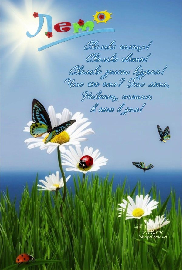 летние открытки