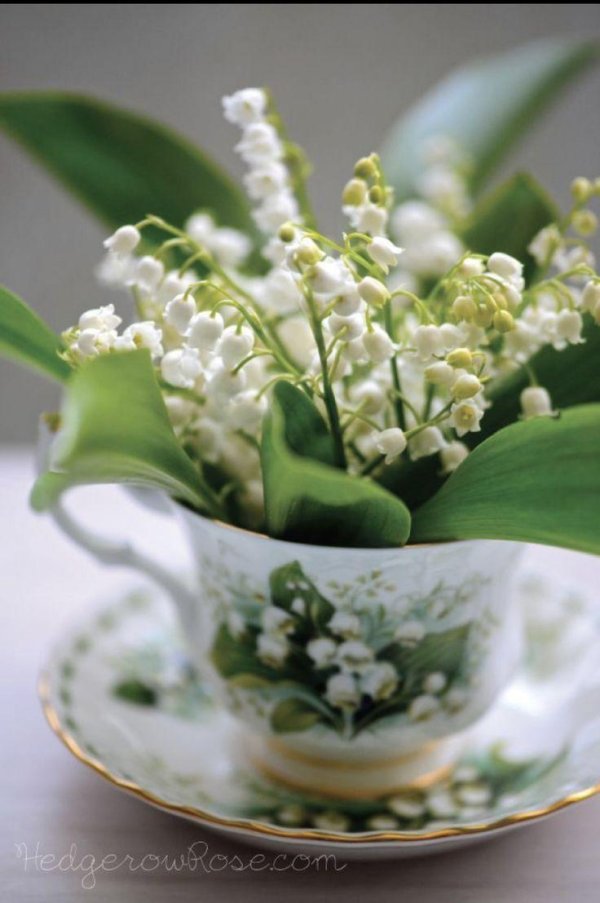 ландыши холодный фарфор