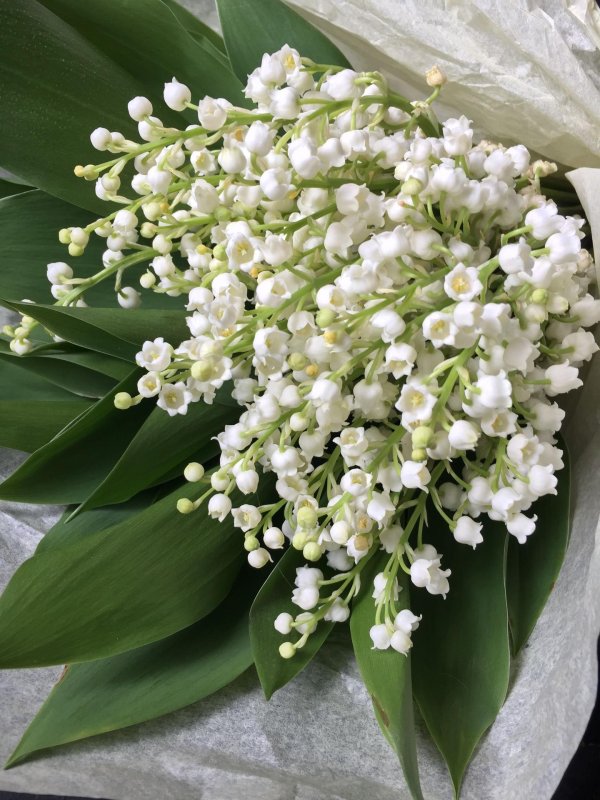 красивый букет ландышей