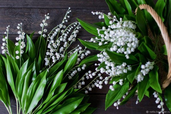 красивые ландыши