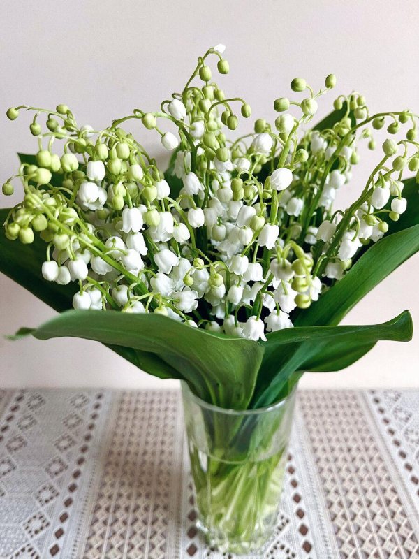 цветок ландыш