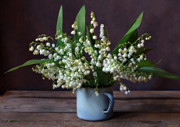 ландыши букетик