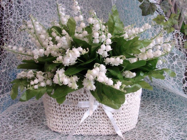 фиалка ле ландыши