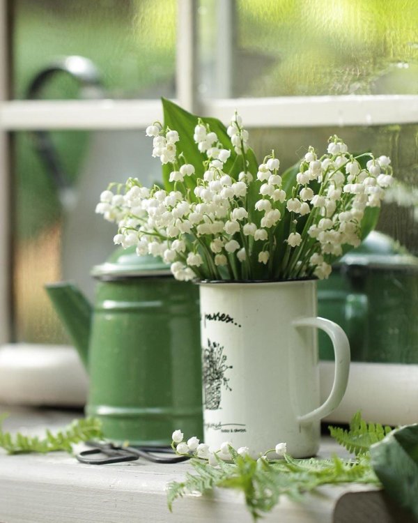 доброе утро ландыши