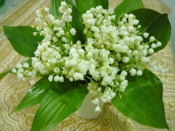 цветок ландыш