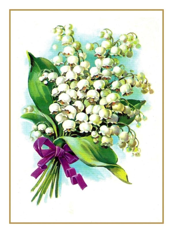 катарина кляйн ландыши