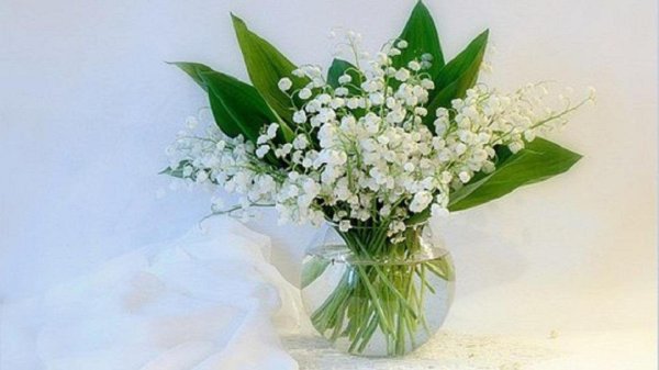 букет ландышей акварель