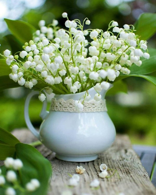 ландыши белые