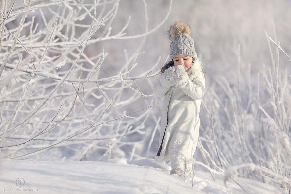 фотосессия в зимнем лесу