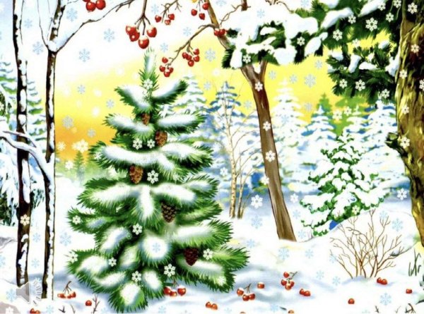 в лесу родилась елочка