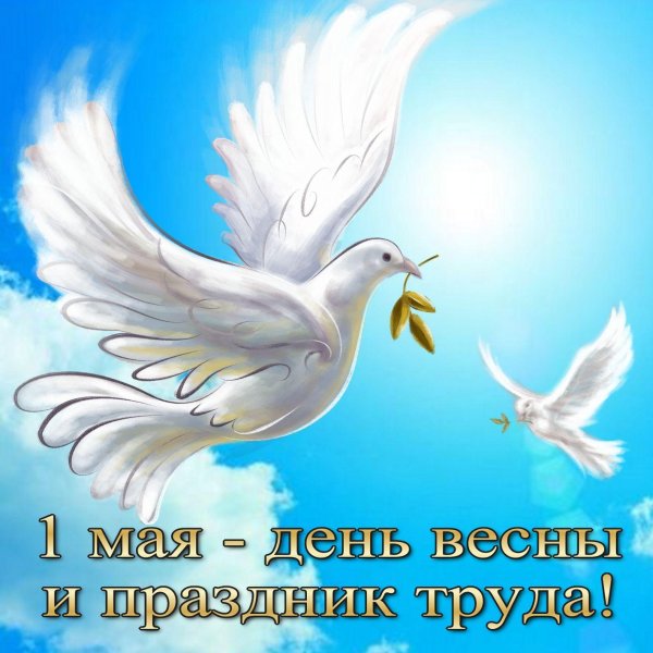 открытка к 1 мая
