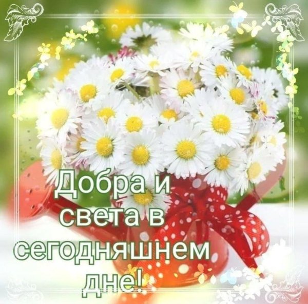 доброе утро радуйся жизни