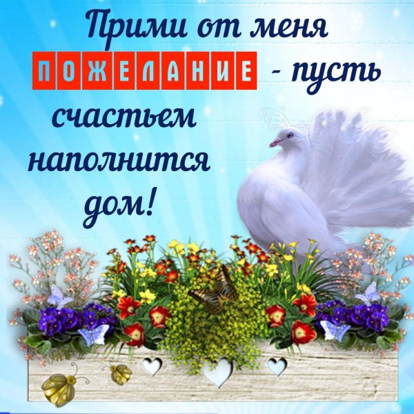 голуби с пожеланиями