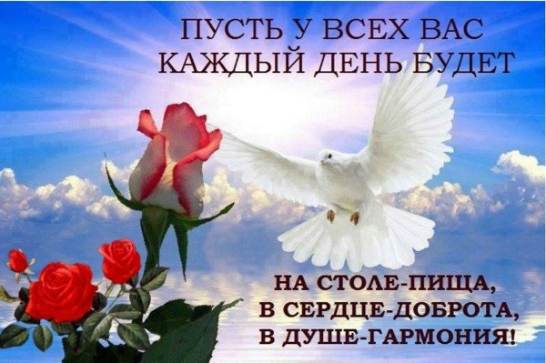 пожелание мира