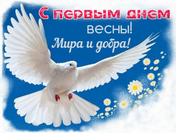 белые голуби