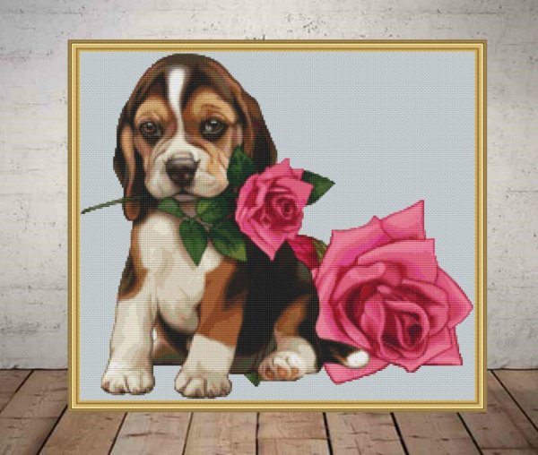 цветы собачки