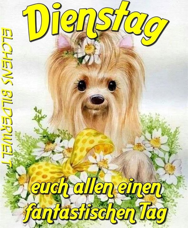 щенки йоркширский терьер