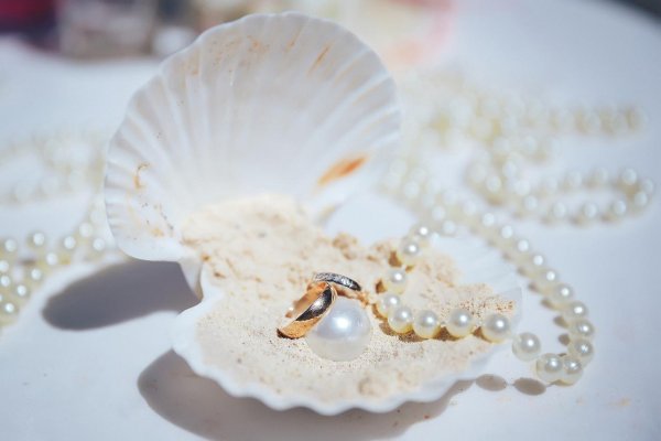 жемчуг в ракушке
