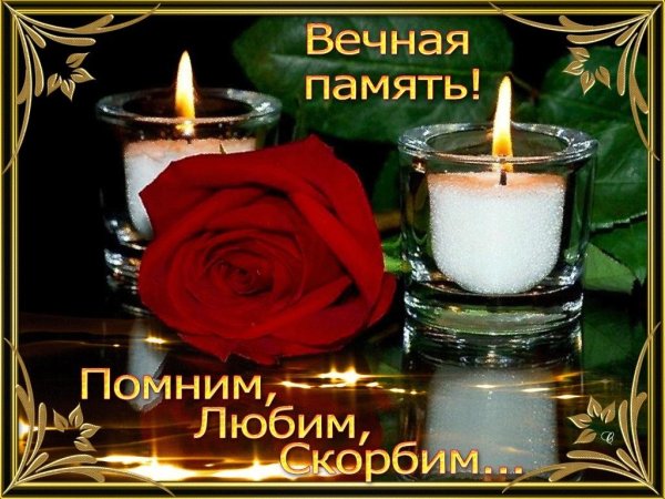 помним любим