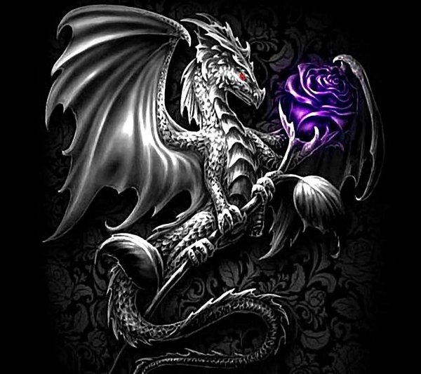 драконы эскиз