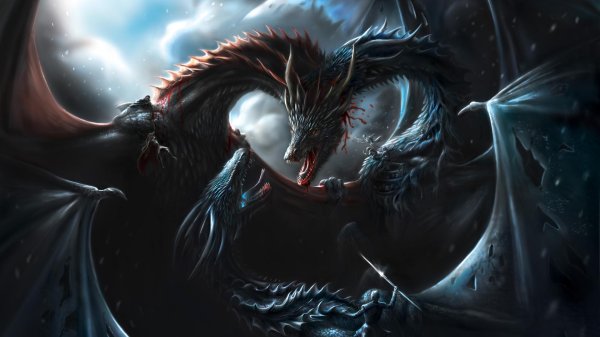 красивые драконы