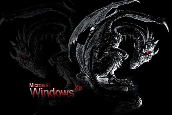 красивые драконы