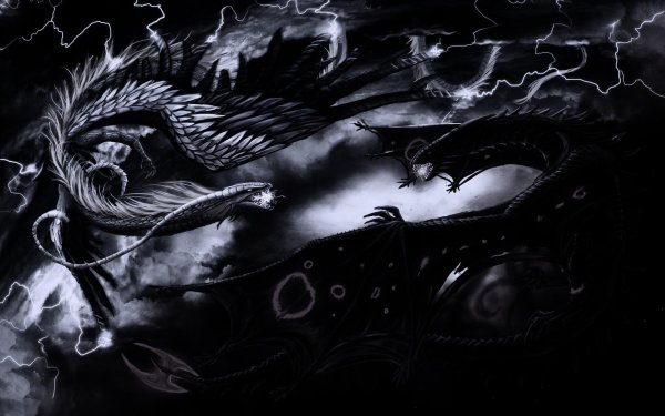 красивые драконы