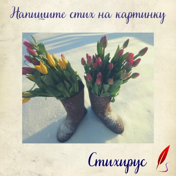 букет тюльпанов на снегу