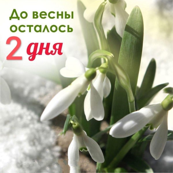 десять дней до весны