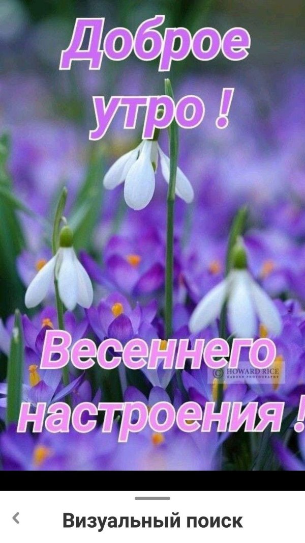 доброго утра весенние
