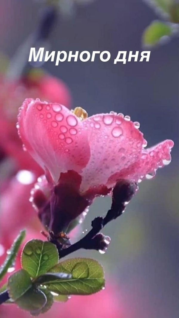 христианские пожелания