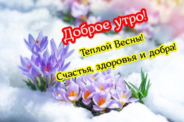добрейшего весеннего утра