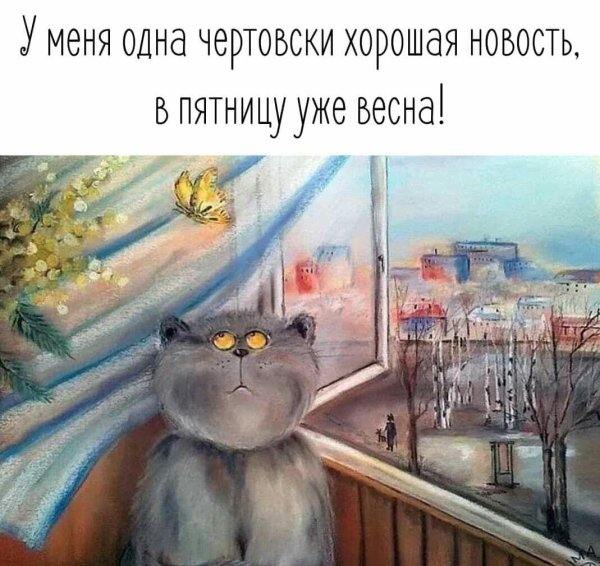 веселые высказывания
